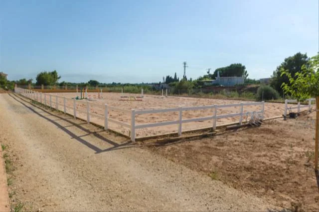Clases de equitación en Valencia