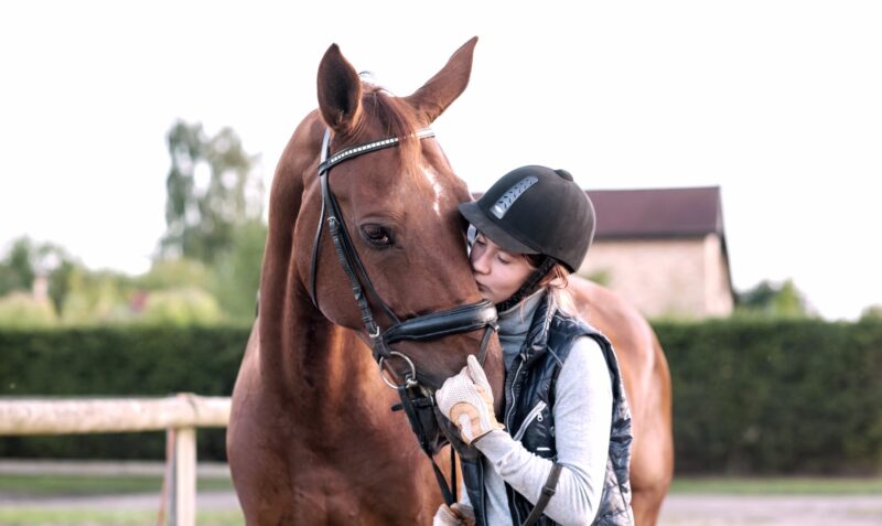 Clases de equitación en Valencia