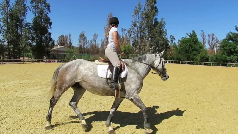 Clases de equitación en Valencia